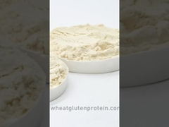 Vital Wheat Gluten, Wheat Gluten, Gluten