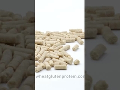 Wheat Gluten Pellet, Gluten Pellet